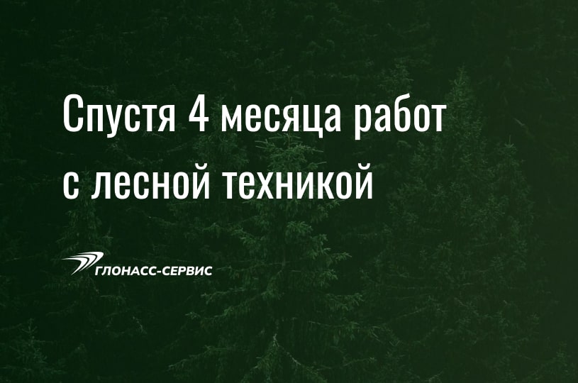 2025-03-07 Спустя 4 месяца по лесу-min