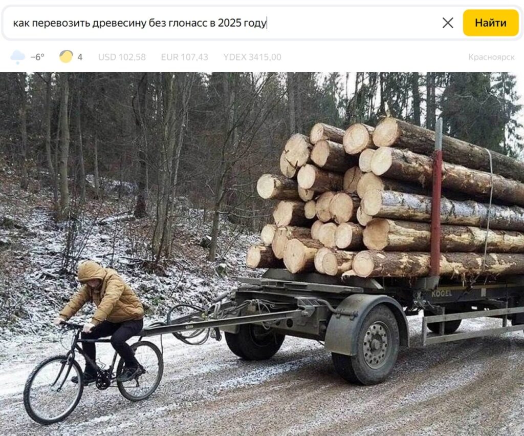 2025-04-01 Забавные поисковые запросы 2